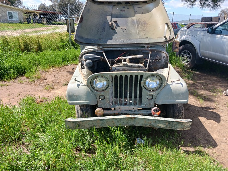 Jeep M38A1 5