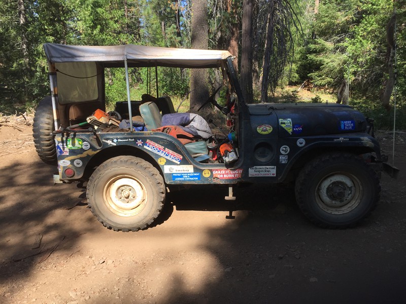 1953 M38-A1 Willys 6