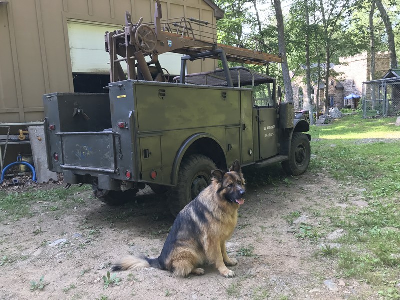 1953 Dodge rare M37 v41 with winch Power Wagon 7